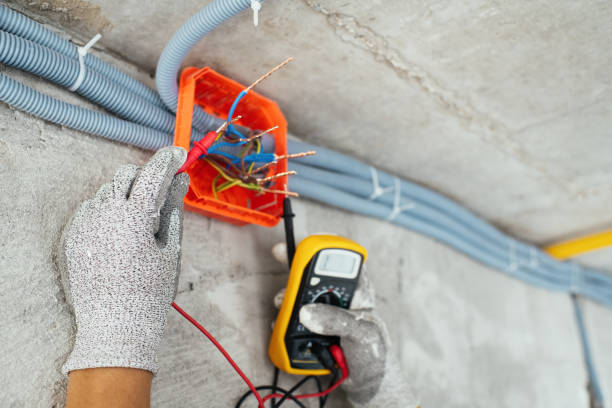 Best Electric Panel Repair  in Giddings, TX